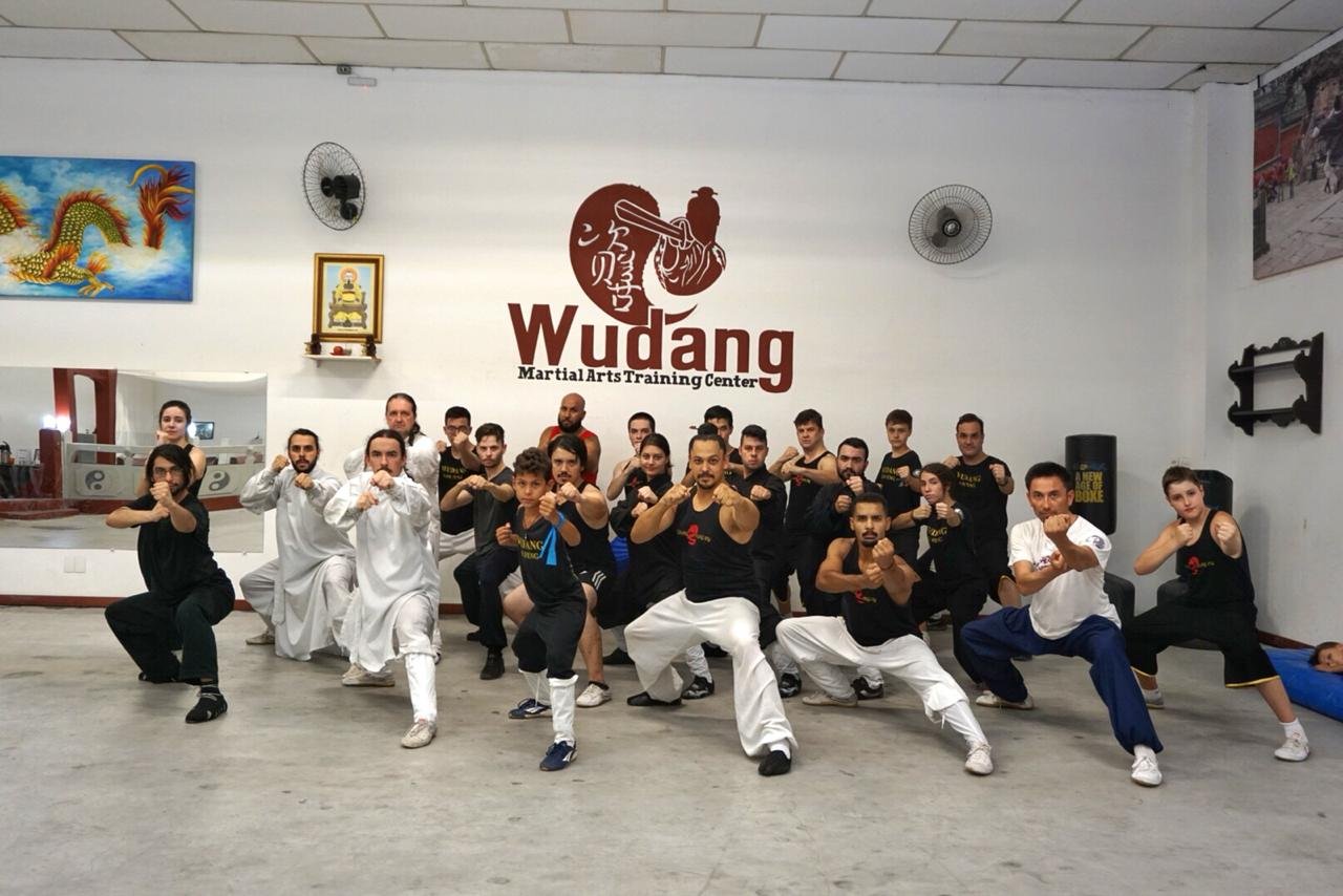 wudang-brazil-training