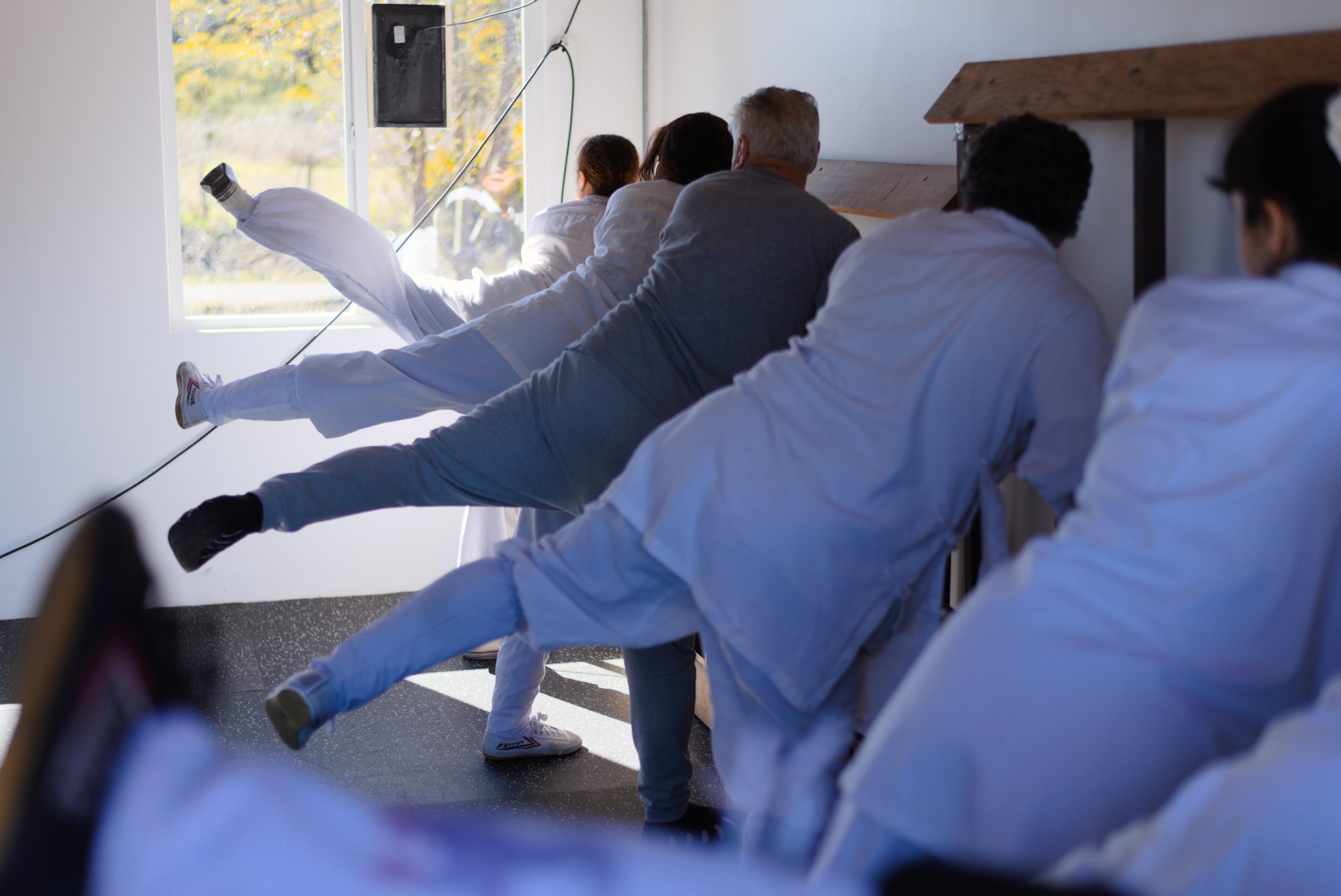 wudang-yuelong-flexibilidad