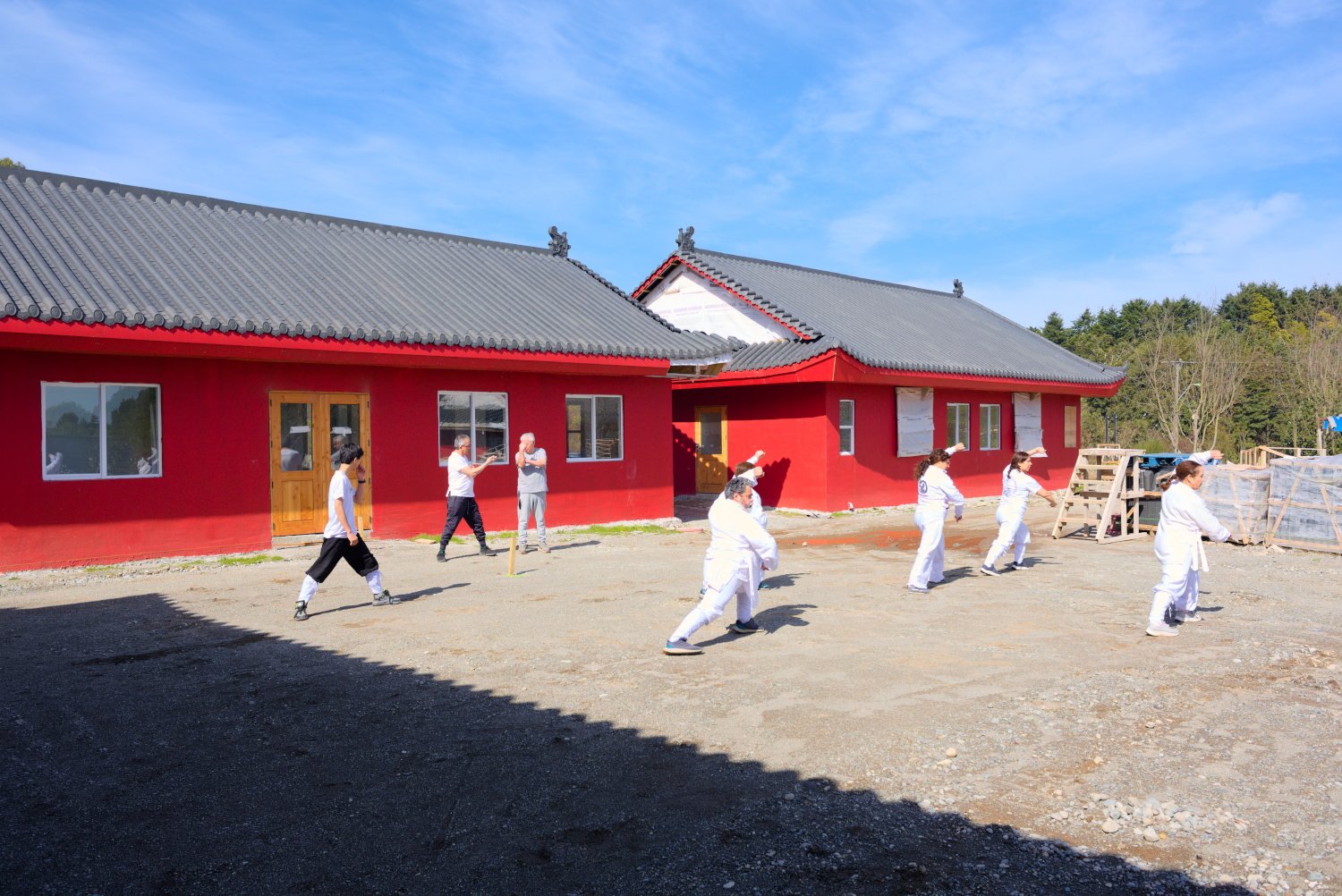 wudang-yuelong-precios