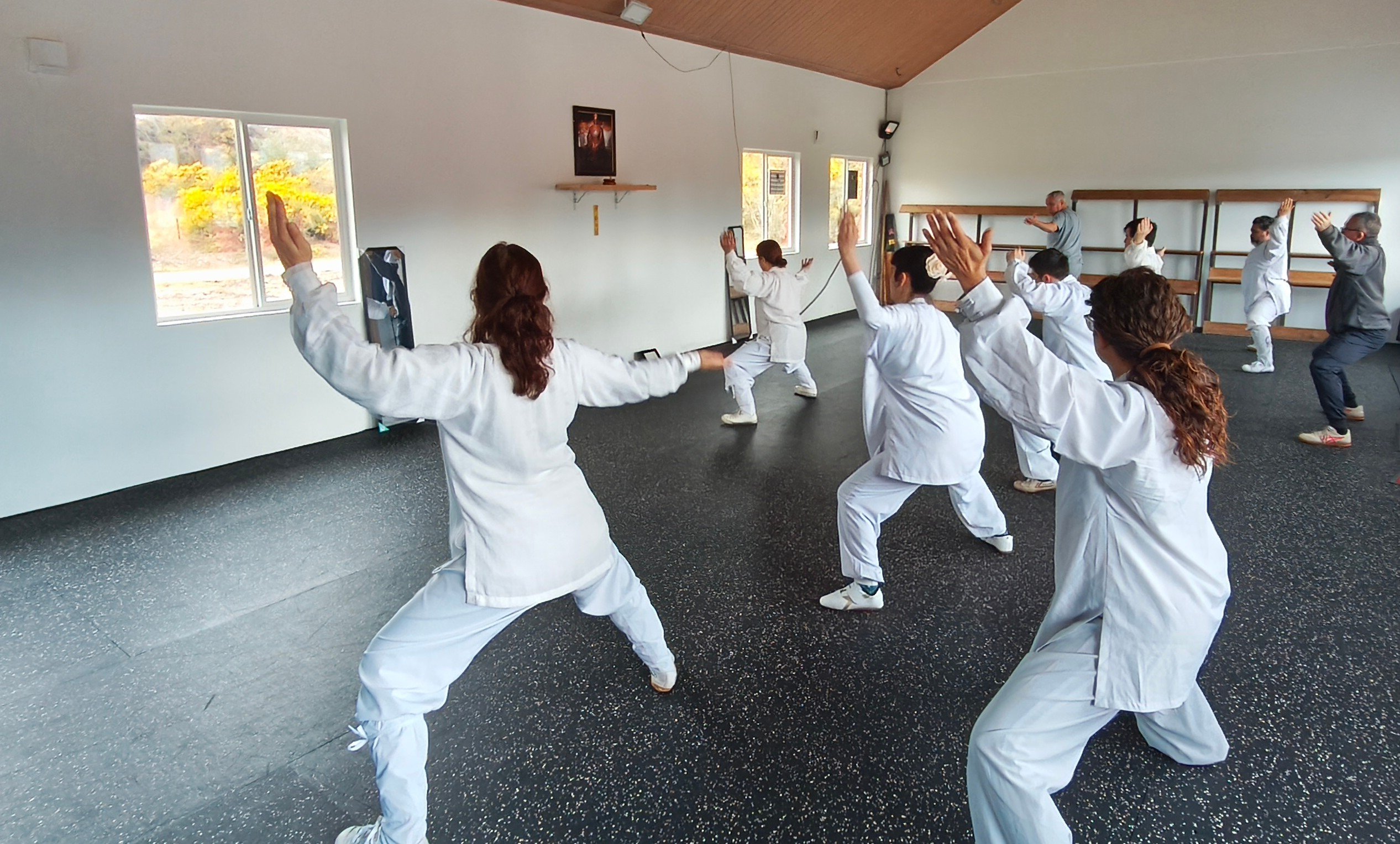 wudang-yuelong-sanfeng-taiji