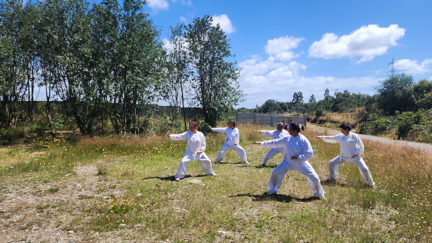 wudang-yuelong-taiji